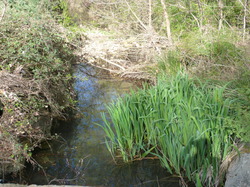 9 Avril 2016 , à Belle Croix entre Venasque et St Didier