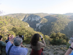 A l'affut du Grand Duc dans le défend