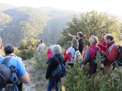 A l'affut du Grand Duc dans le défend