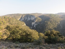 A l'affut du Grand Duc dans le défend