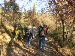 A l'affut du Grand Duc dans le défend