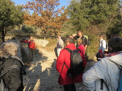 A l'affut du Grand Duc dans le défend