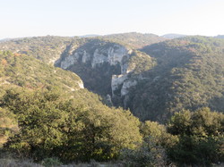 A l'affut du Grand Duc dans le défend