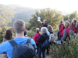 A l'affut du Grand Duc dans le défend