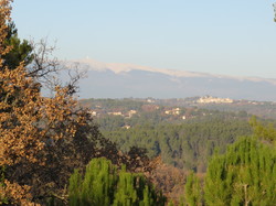 A l'affut du Grand Duc dans le défend