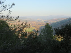 A l'affut du Grand Duc dans le défend