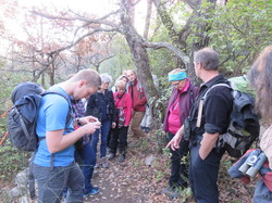 A l'affut du Grand Duc dans le défend