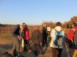 A l'affut du Grand Duc dans le défend
