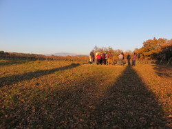 A l'affut du Grand Duc dans le défend