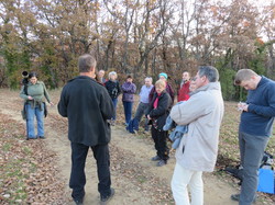 A l'affut du Grand Duc dans le défend