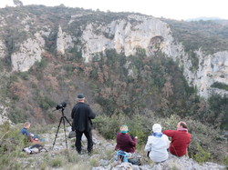 A l'affut du Grand Duc dans le défend