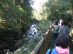 A la découverte du Parc naturel régional  du Mont Pilat
