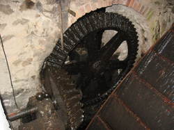 A la découverte du Parc naturel régional  du Mont Pilat