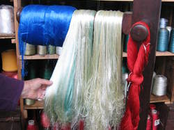 A la découverte du Parc naturel régional  du Mont Pilat