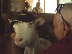 A la découverte du Parc naturel régional  du Mont Pilat