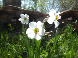 A Monieux, le 22 Avril 2017
