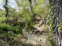 A Monieux, le 22 Avril 2017