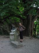 L'île de Pétrarque