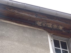 Au coeur des volcans et des sources ardéchoises