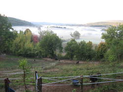 Autour d'une castagnade à Aurel