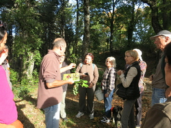 Autour d'une castagnade à Aurel