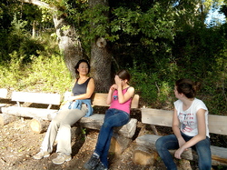 Autour d'une castagnade à Aurel