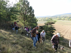 Autour d'une castagnade à Aurel