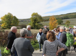 Autour d'une Castagnade à Aurel, au piemont du Ventoux