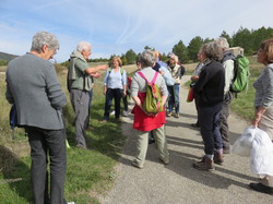 Autour d'une Castagnade à Aurel, au piemont du Ventoux