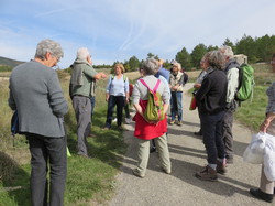 Autour d'une Castagnade à Aurel, au piemont du Ventoux