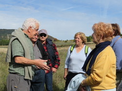 Autour d'une Castagnade à Aurel, au piemont du Ventoux