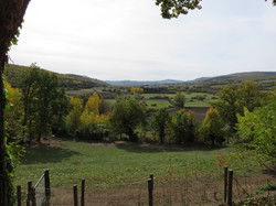 Autour d'une Castagnade à Aurel, au piemont du Ventoux