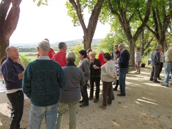 Autour d'une Castagnade à Aurel, au piemont du Ventoux