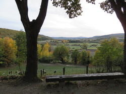 Autour d'une Castagnade à Aurel, au piemont du Ventoux