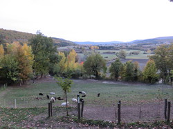 Autour d'une Castagnade à Aurel, au piemont du Ventoux