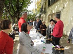Autour d'une Castagnade à Aurel, au piemont du Ventoux