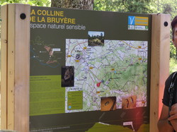 Balade dans la Colline de la Bruyère à Villars
