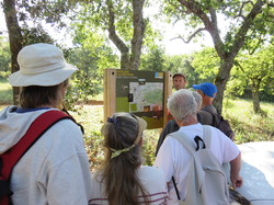 Balade dans la Colline de la Bruyère à Villars