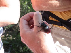 Balade dans la Colline de la Bruyère à Villars
