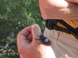 Balade dans la Colline de la Bruyère à Villars