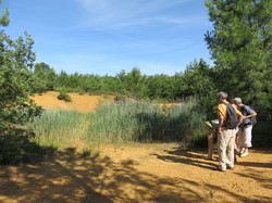 Balade dans la Colline de la Bruyère à Villars