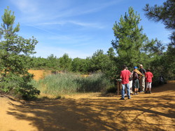 Balade dans la Colline de la Bruyère à Villars