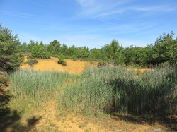 Balade dans la Colline de la Bruyère à Villars