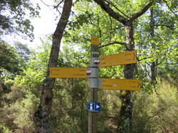 Balade dans la Colline de la Bruyère à Villars