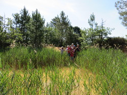 Balade dans la Colline de la Bruyère à Villars