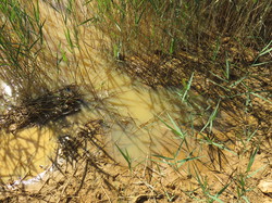 Balade dans la Colline de la Bruyère à Villars