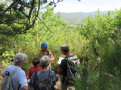 Balade dans la Colline de la Bruyère à Villars