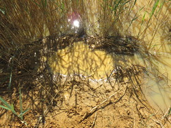 Balade dans la Colline de la Bruyère à Villars