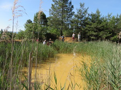Balade dans la Colline de la Bruyère à Villars