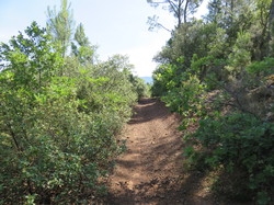 Balade dans la Colline de la Bruyère à Villars